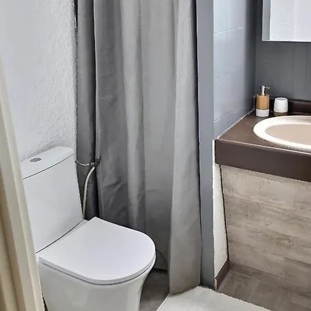 4 Personnes Aux Pieds Des Pistes Le Champame Wifi Netflix * Les Deux Alpes