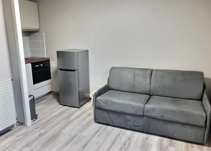 Appartement 4 Personnes Aux Pieds Des Pistes Le Champame Wifi Netflix Les Deux Alpes